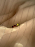 ANILLO SOLITARIO SEIS GRIFAS PERIDOTO
